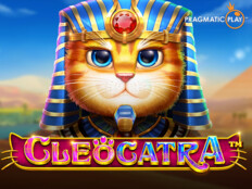 Casino slot oyunları56